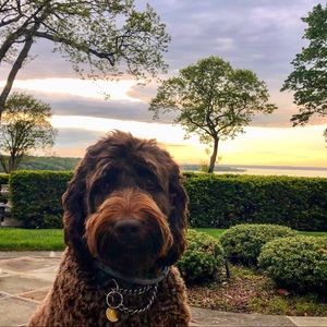 Meet your Posher, Chris